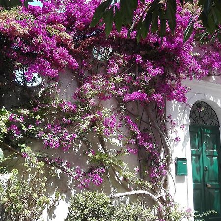 Apartamento Il Gelso Anacapri  Exterior foto