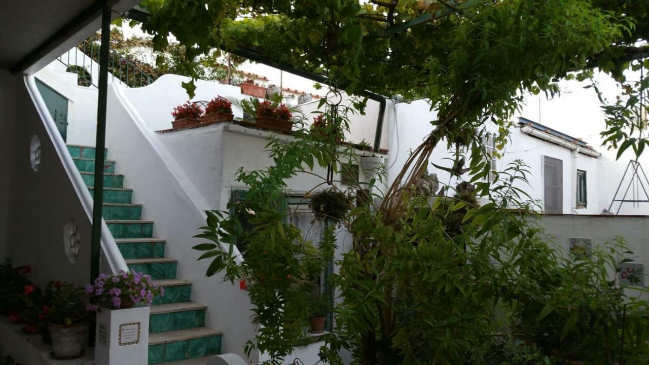 Apartamento Il Gelso Anacapri  Exterior foto
